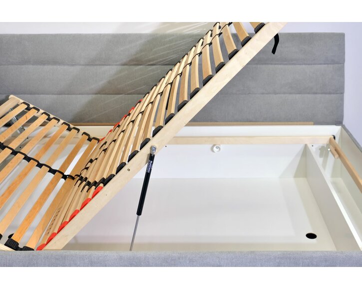 Niobe s dlhým čelom - výklop