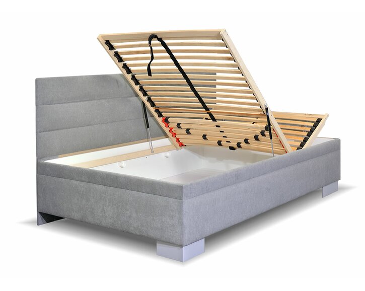 Niobe s dlhým čelom - detail