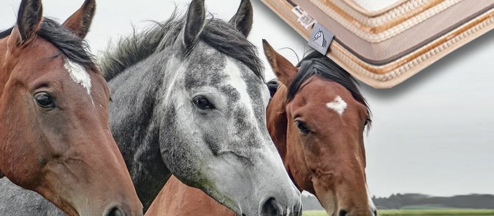 Prečo si kúpiť prírodný matrac s konskými vlasmi?